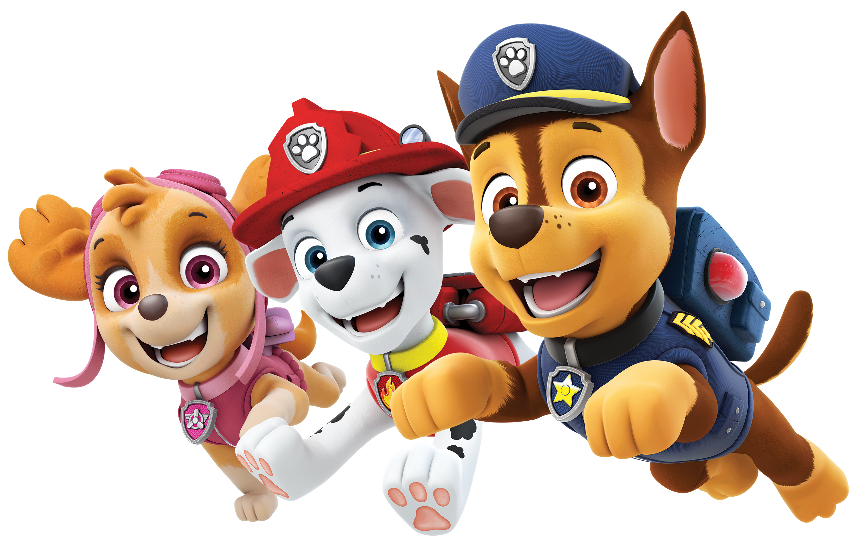 Paw patrol paw patrol paw patrol paw patrol paw patrol paw patrol paw patrol paw patrol deals
